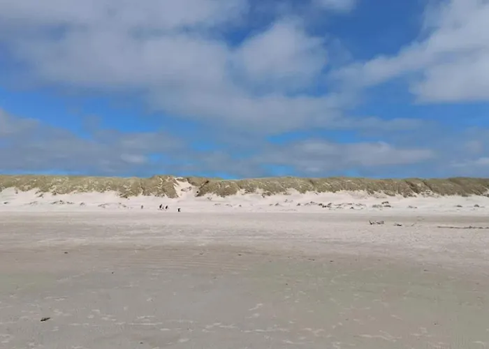 Nyaraló Modern Retreat In Graerup - By Traum Oksbøl